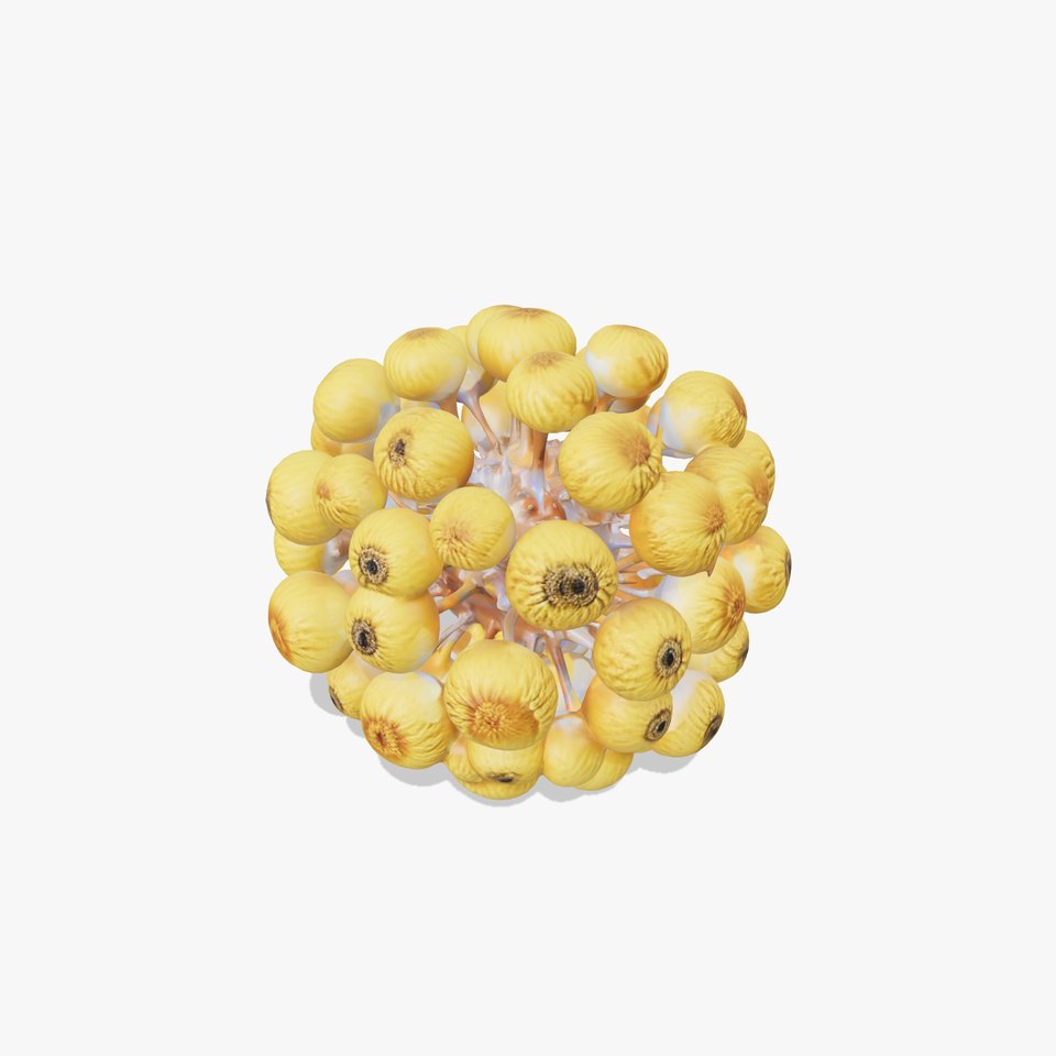 Botanical Flower Model Pack with Detailed Structure